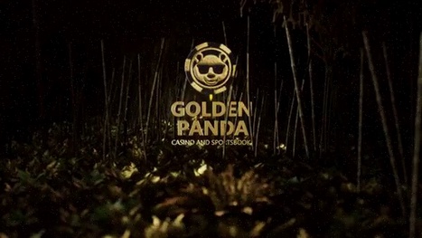 Rizk Casino – Het Populairste Online Casino in de NL Markt voor Veilig Spelen